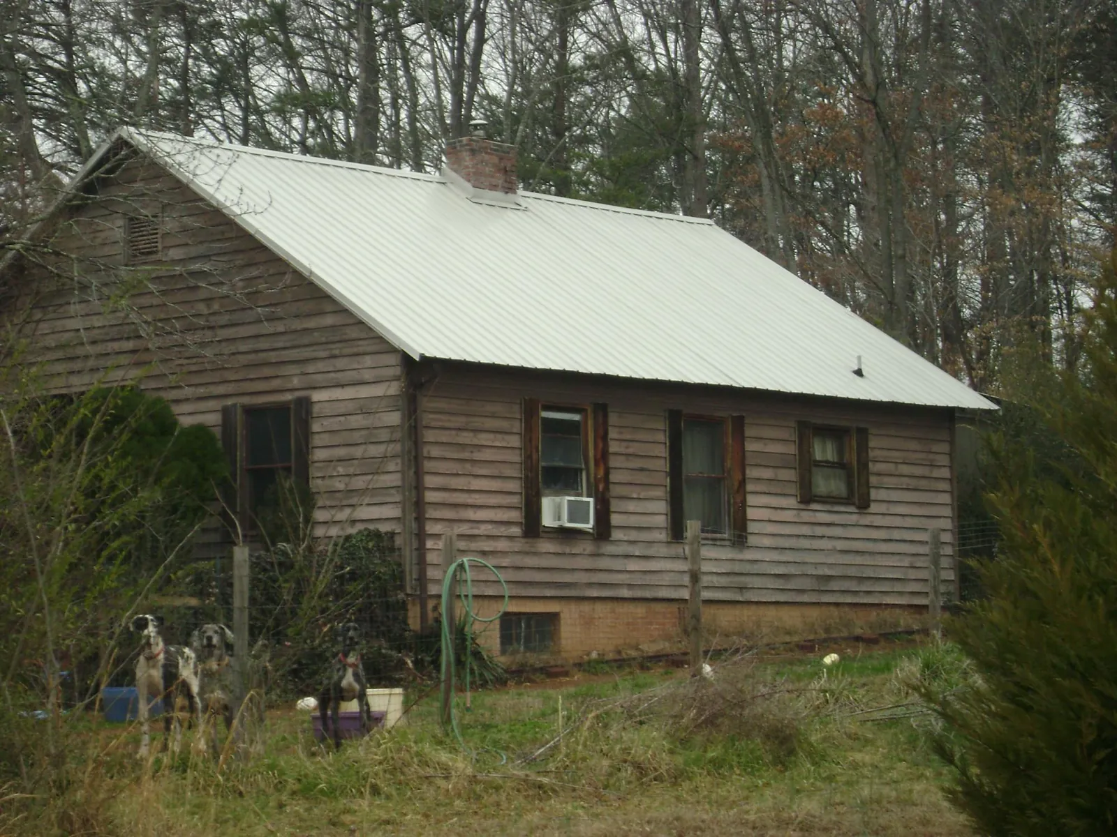 White metal roof on an old wood sided farmhouse, from a Asphalt Shingle Roof Repair job in Caledonia